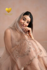 Dusty Blush Zari Saree - Image 4