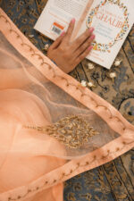 Kashmiri Leaf & Motif Embroidered Organza Saree - Image 3