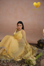 Silver Cutdana Embroidered Organza Saree - Image 2